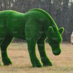 Топиари лошадь, Марта - газон Premium