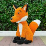 Топиари лис Дорис - газон Eco