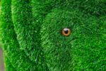 Топиари лев Луи - газон Eco