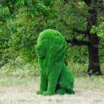 Топиари лев Луи - газон Eco