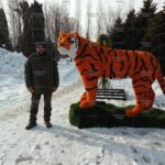 Топиари тигр - газон Eco