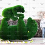 Топиари композиция медвежья мечта - газон Deluxe