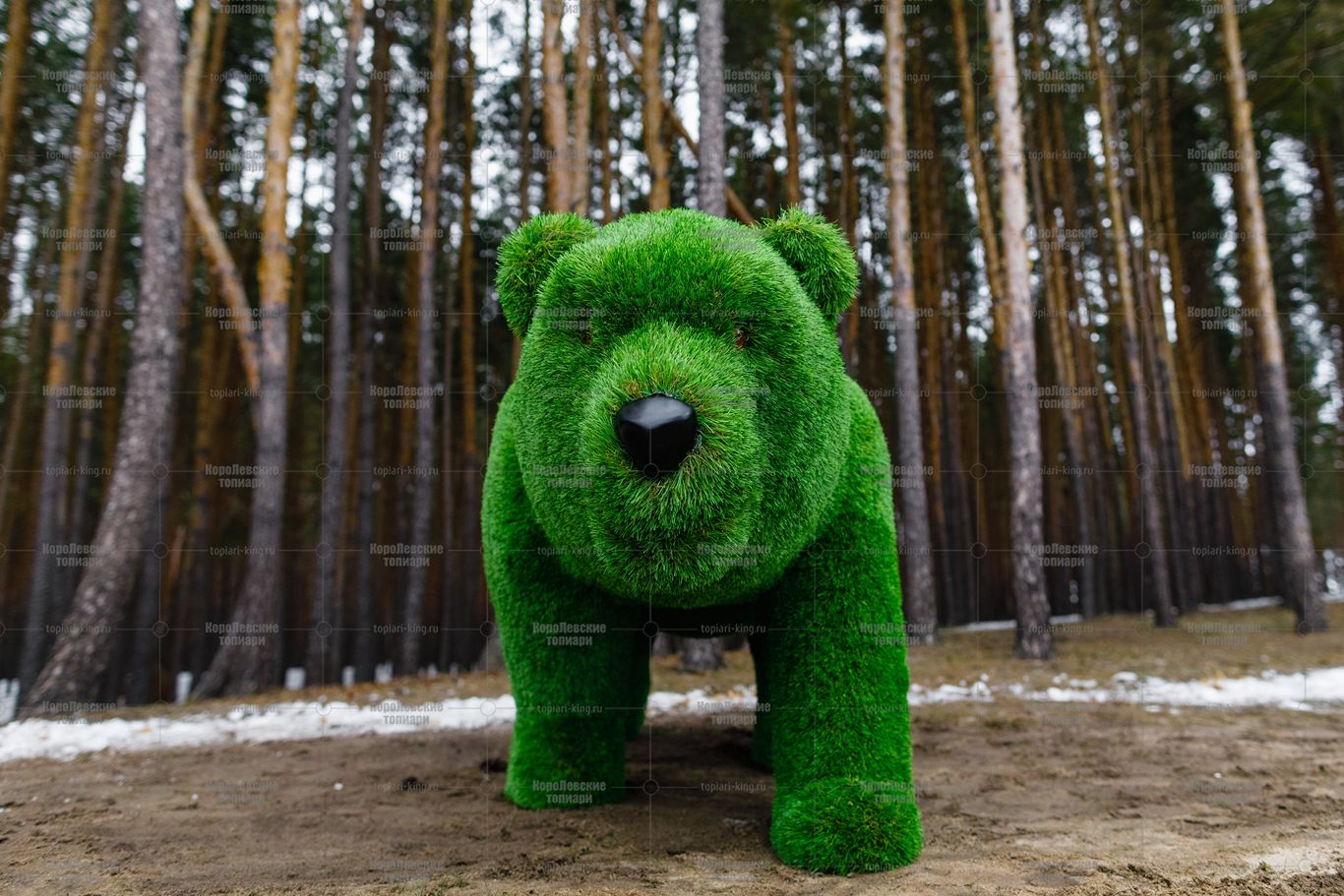 Топиари медведица Кэт - газон Premium Топиари медведица Кэт - газон Premium