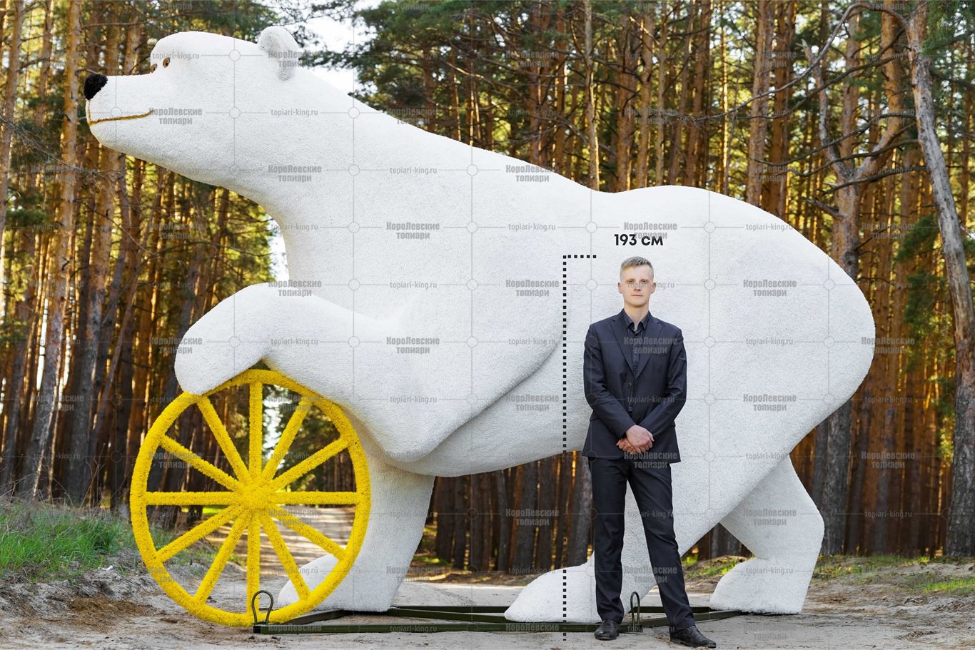 Топиари медведица Надежда - газон Есо Топиари медведица Надежда - газон Есо