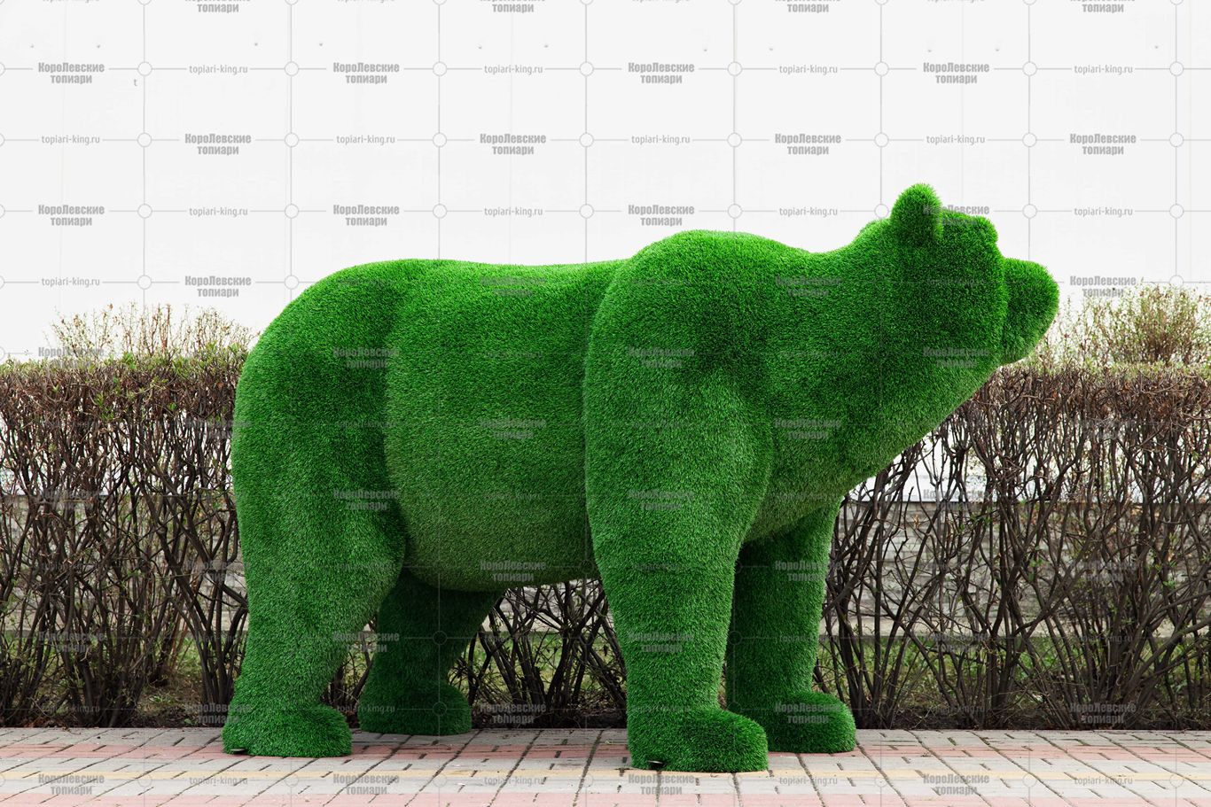 Топиари медведь Бачо - газон Eco Green Топиари медведь Бачо - газон Eco Green