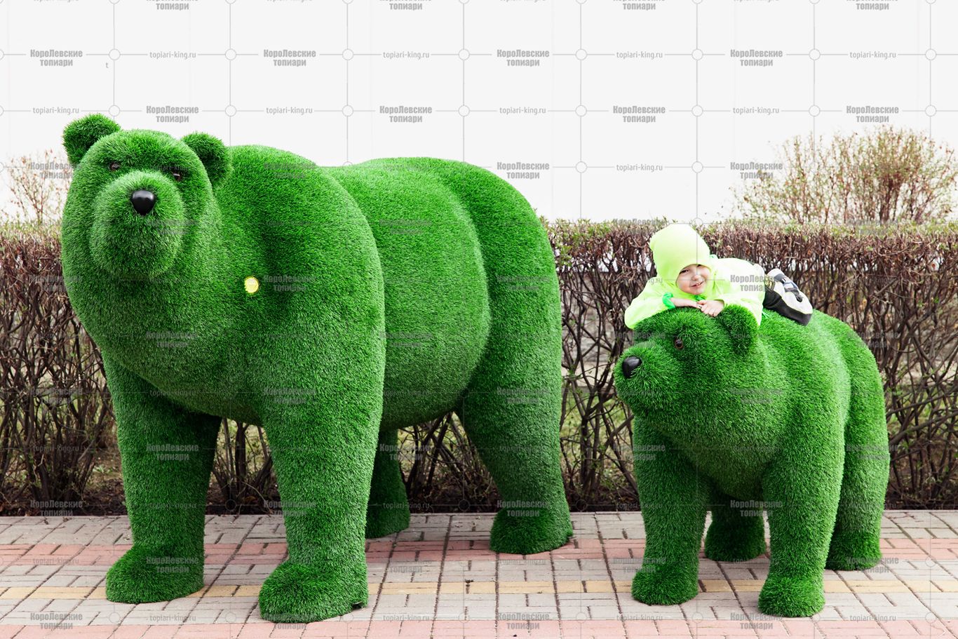 Топиари медведь Бачо - газон Eco Green Топиари медведь Бачо - газон Eco Green