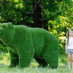 Топиари медведь Бачо - газон Premium