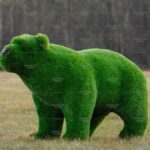 Топиари медведь Греча - газон Premium
