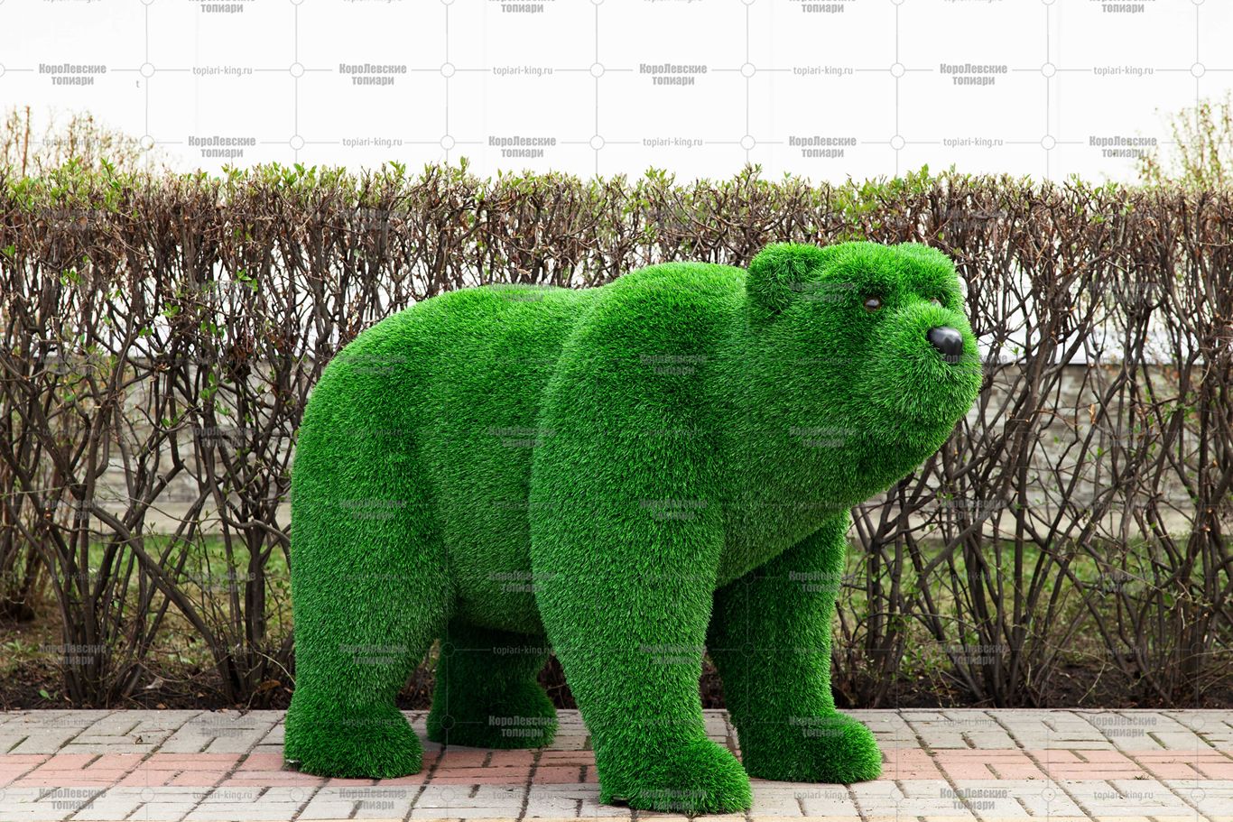 Топиари медведь Муни - газон Eco Green Топиари медведь Муни - газон Eco Green