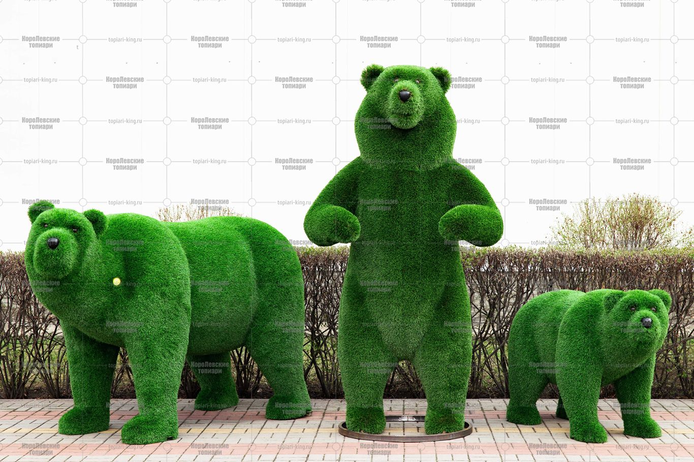 Топиари медведь Муни - газон Eco Green Топиари медведь Муни - газон Eco Green