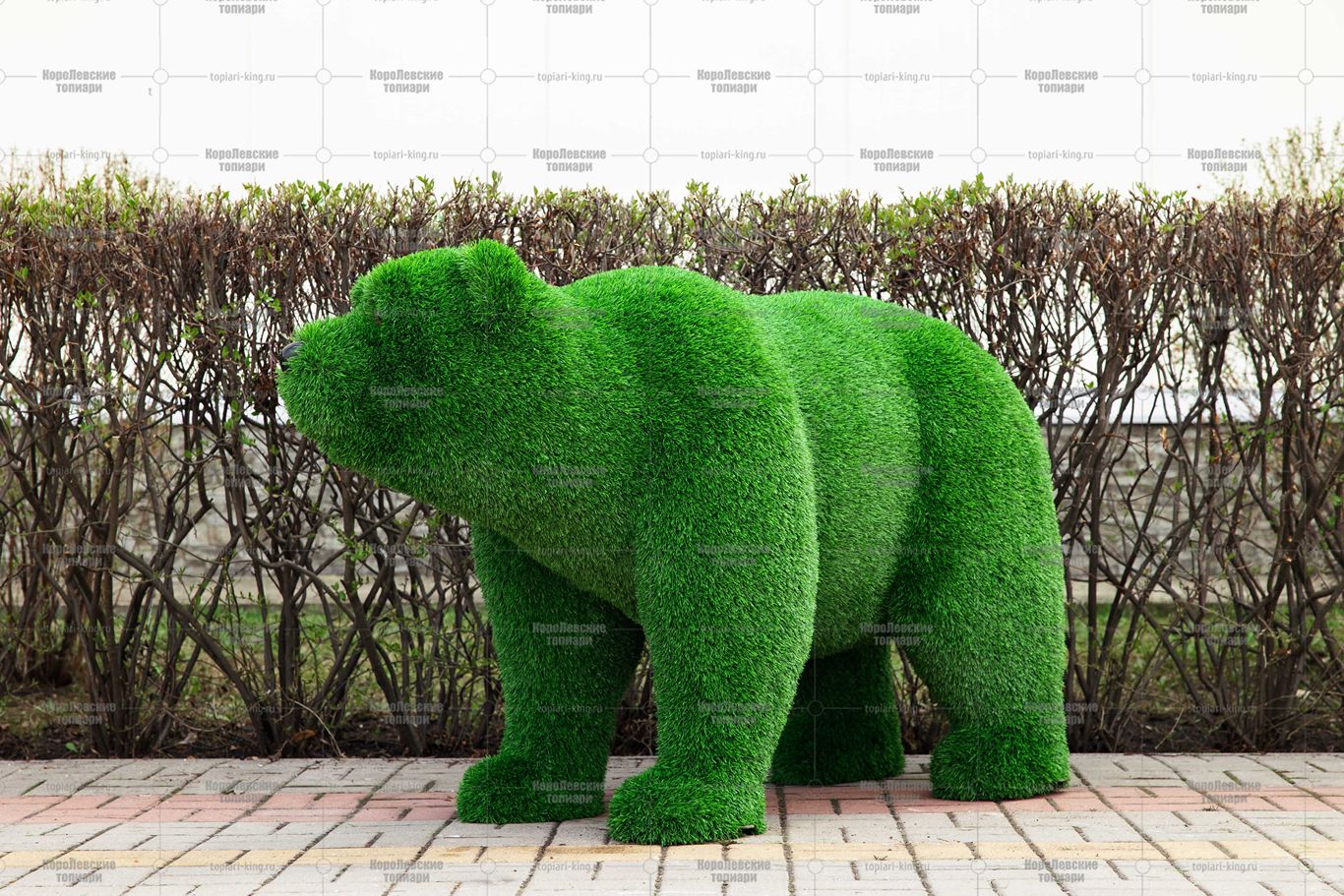 Топиари медведь Муни - газон Eco Green Топиари медведь Муни - газон Eco Green