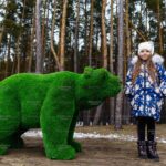 Топиари медведь Муни - газон Premium