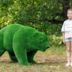 Топиари медведь папа - газон Eco