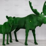 Топиари композиция лось Алкей и лосиха Галатея - газон Есо