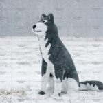 Топиари волк - газон Eco