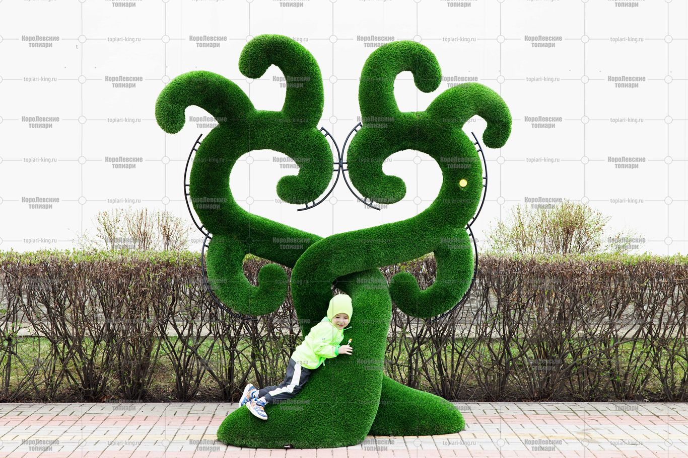 Топиари дерево Бруки - газон Deluxe Топиари дерево Бруки - газон Deluxe