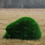 Топиари ежик малышок - газон Deluxe