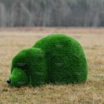 Топиари ёжик мамочка - Газон Deluxe