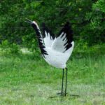 Топиари журавль японский - газон Eco