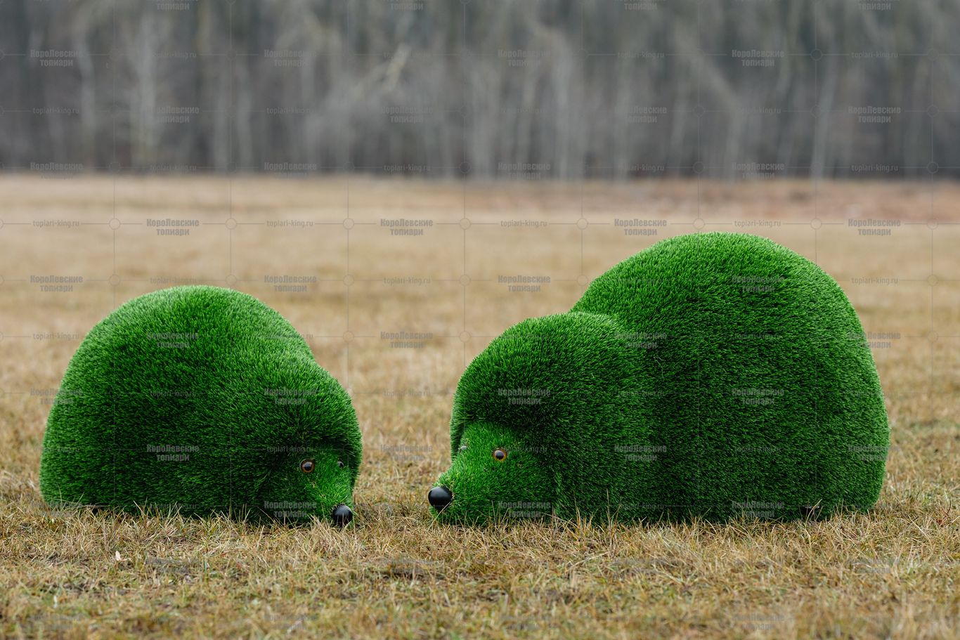 Топиари композиция ежики, отдыхают - газон Deluxe Топиари композиция ежики, отдыхают - газон Deluxe