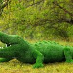 Топиари крокодил Нельсон - газон Eco + Green Eco