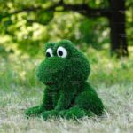 Топиари лягушка - газон Eco