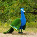 Топиари павлин, основа композиций - газон Deluxe + Eco