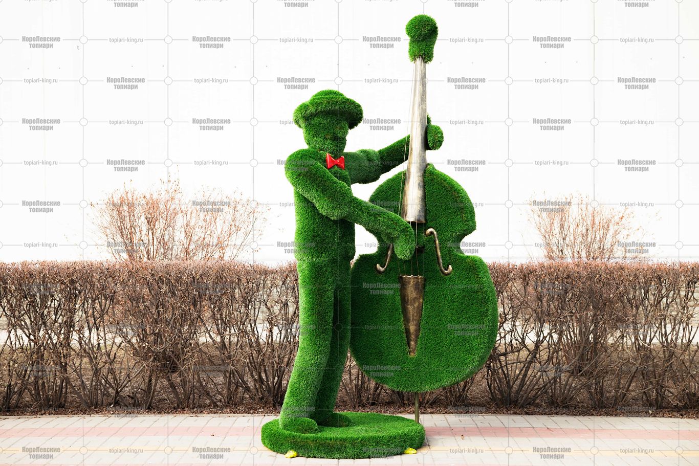 Топиари музыкант, контрабасист Витуш - газон Deluxe Топиари музыкант, контрабасист Витуш - газон Deluxe