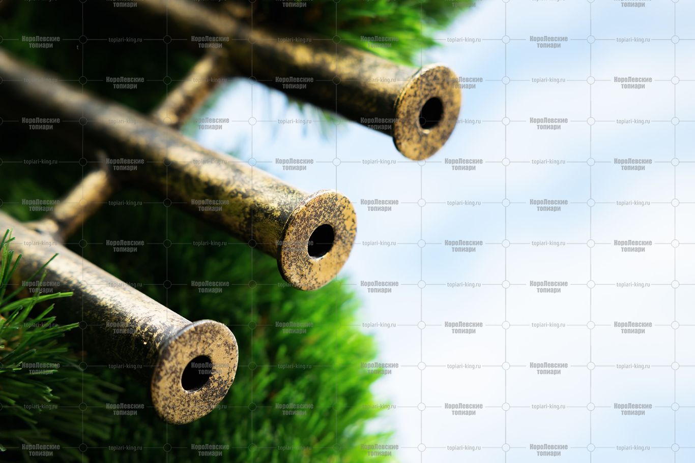 Топиари музыкант, контрабасист Витуш - газон Deluxe Топиари музыкант, контрабасист Витуш - газон Deluxe