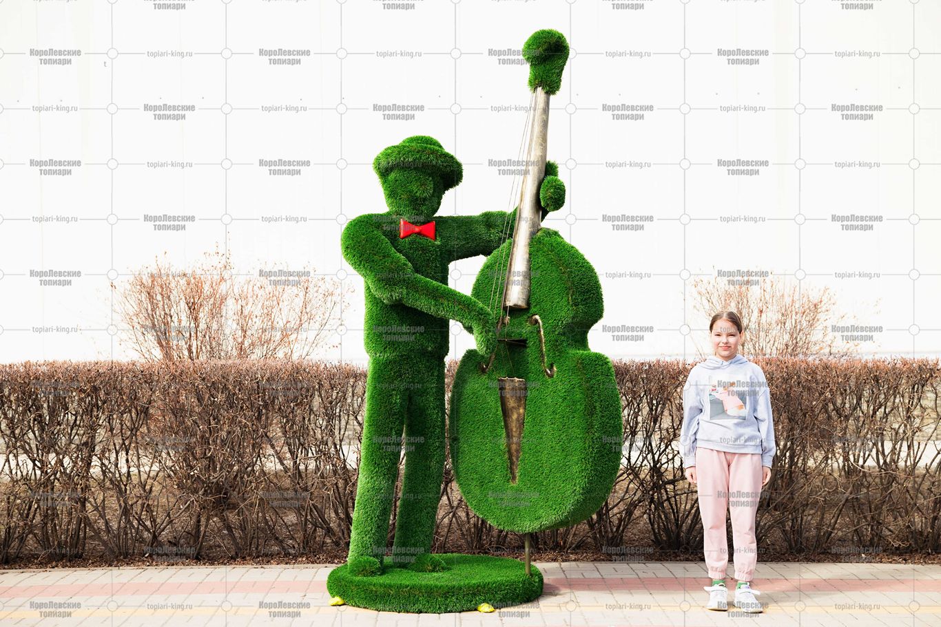 Топиари музыкант, контрабасист Витуш - газон Deluxe Топиари музыкант, контрабасист Витуш - газон Deluxe