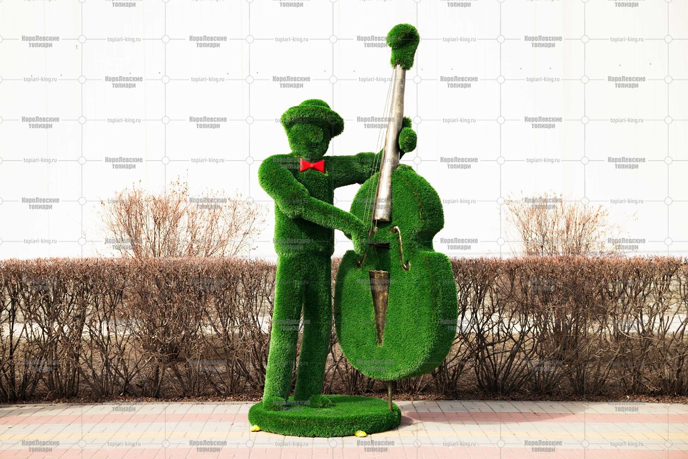 Топиари музыкант, контрабасист Витуш - газон Deluxe Топиари музыкант, контрабасист Витуш - газон Deluxe