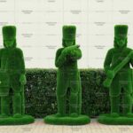 Топиари композиция гусары - газон Deluxe