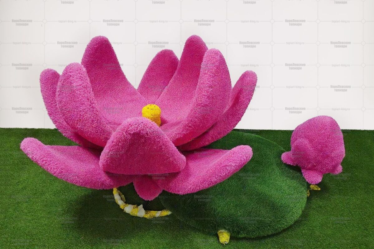 Топиари композиция Лотос – газон Есо+Premium, (ДхШхВ) 20х185х83см