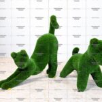 Топиари композиция собака Стич терьер и кошка Лана - газон Deluxe