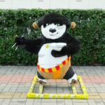 Топиари панда Кунг-фу - газон Eco