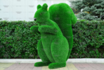 Топиари белка Лора - газон Deluxe Green