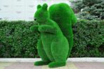 Топиари белка Лора - газон Deluxe Green