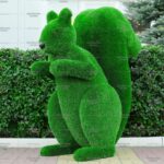 Топиари белка Лора - газон Premium