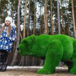 Топиари медведица Брусника - газон Premium