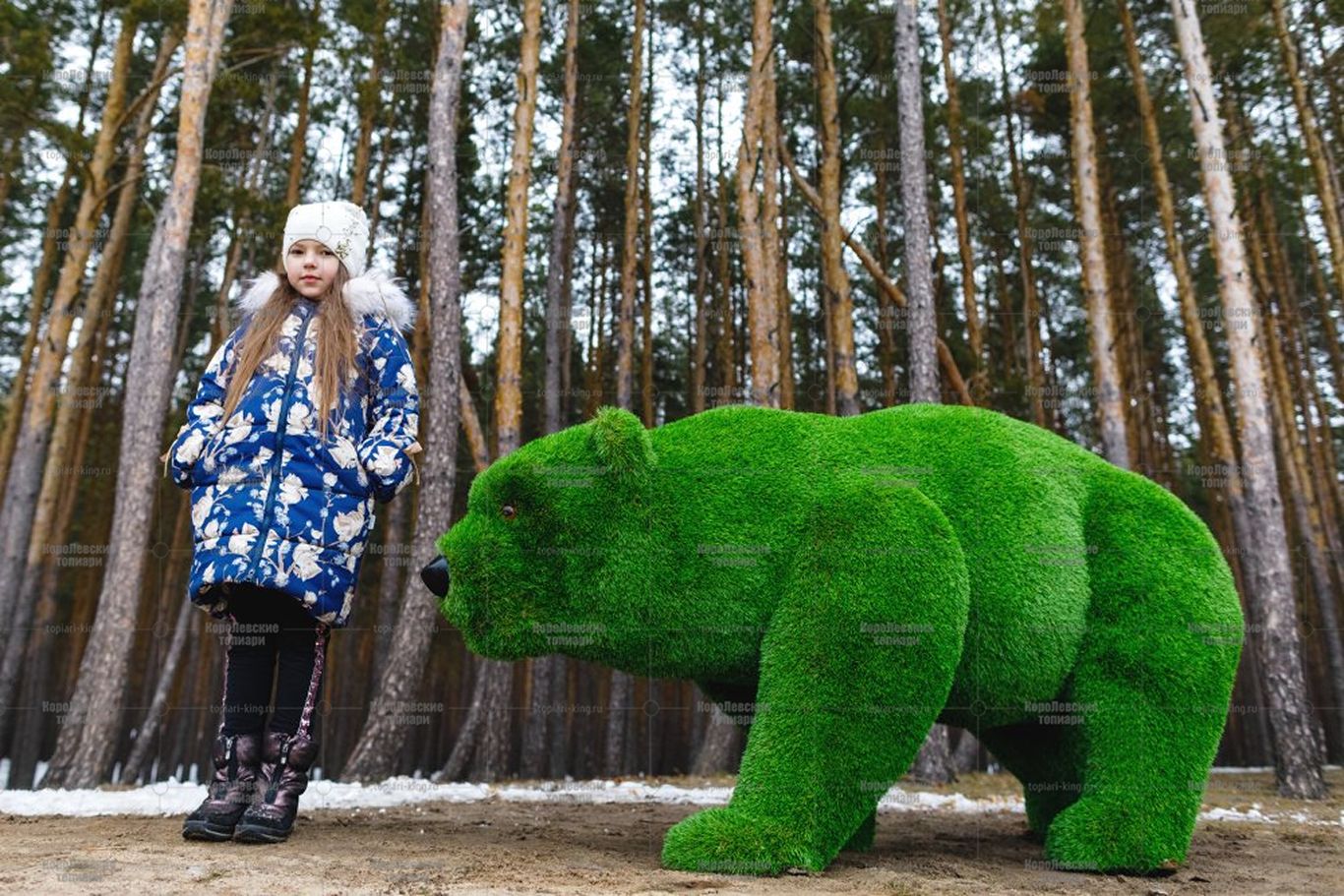 Топиари медведица Брусника - газон Premium Топиари медведица Брусника - газон Premium