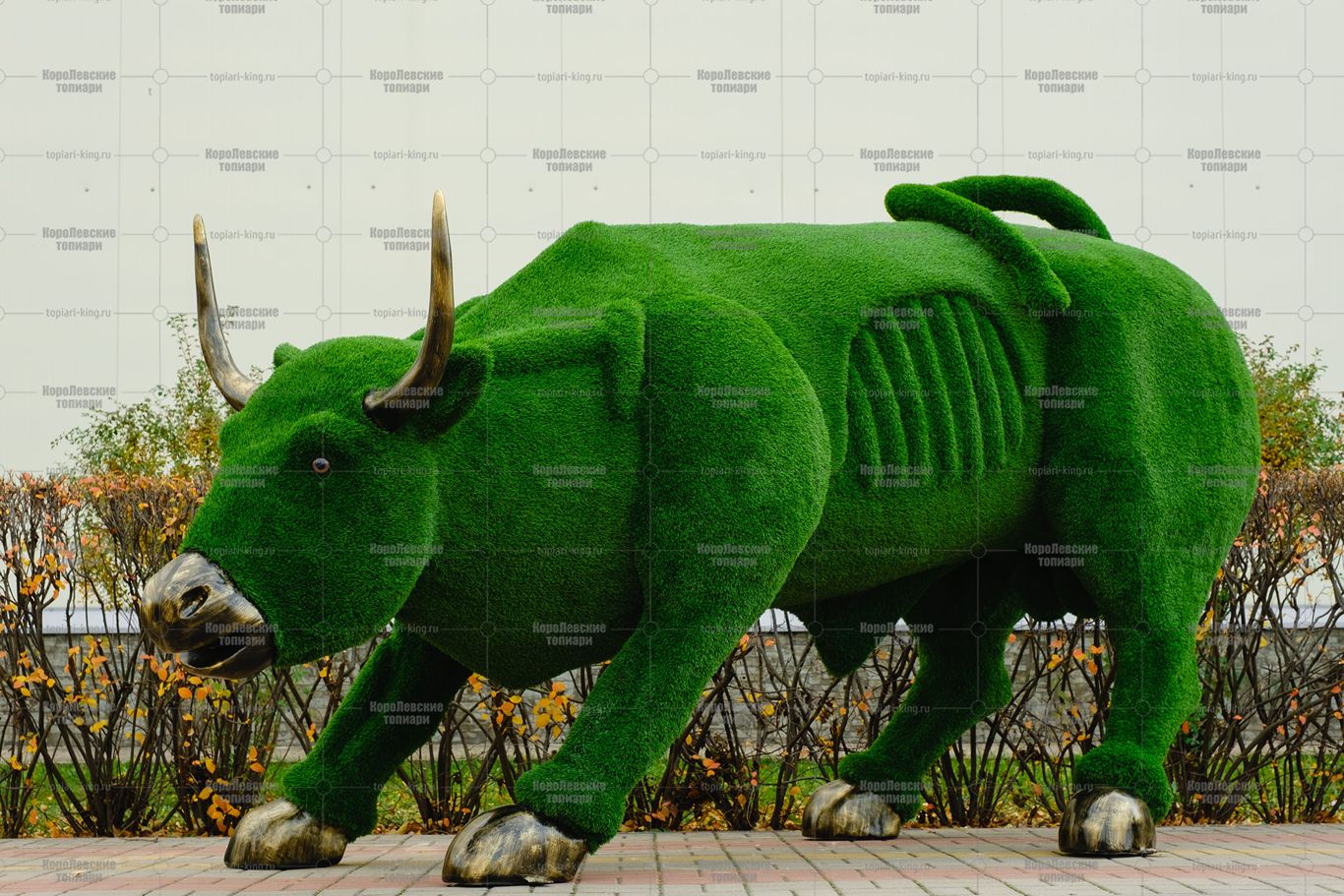 Топиари бык Майкл Брон - газон Eco Топиари бык Майкл Брон - газон Eco