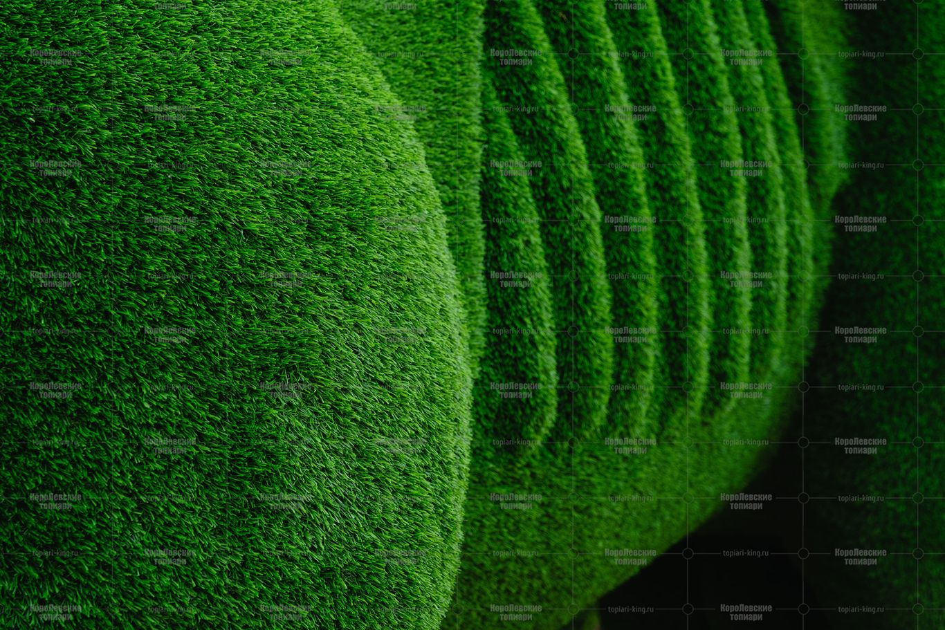 Топиари бык Майкл Брон - газон Eco Топиари бык Майкл Брон - газон Eco