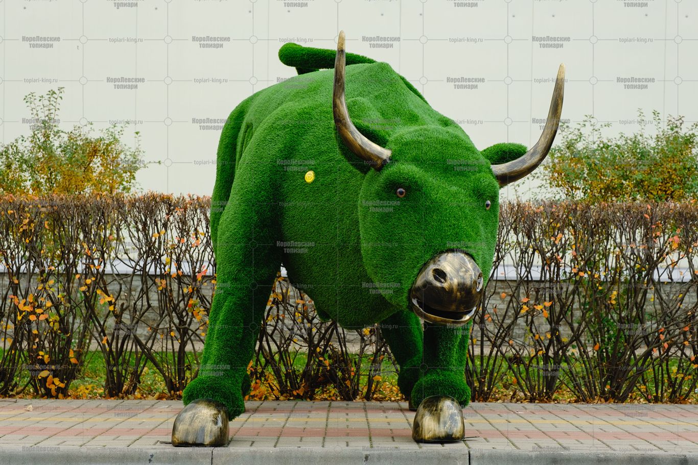 Топиари бык Майкл Брон - газон Eco Топиари бык Майкл Брон - газон Eco