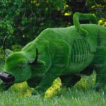 Топиари бык с Уолл-стрит - газон Premium