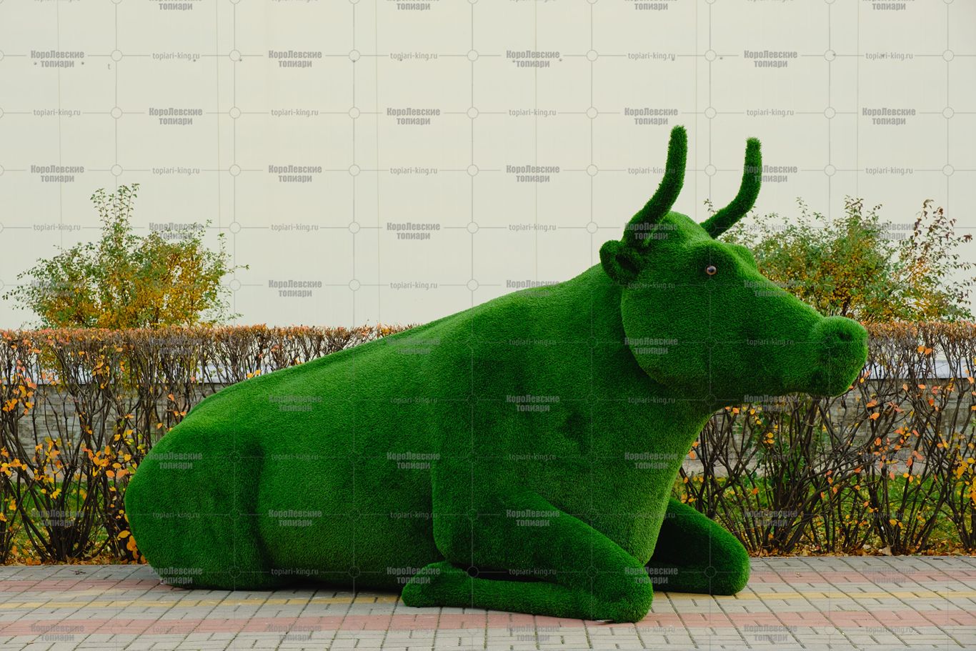 Топиари корова Хэльга - газон Eco Топиари корова Хэльга - газон Eco