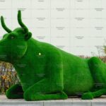 Топиари корова Хэльга - газон Eco