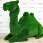 Топиари верблюд - газон Deluxe