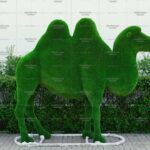 Топиари верблюд двугорбый - газон Deluxe