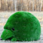 Топиари ежик Холл - газон Deluxe