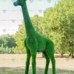 Топиари жираф Аврор, модель 2 - газон Premium